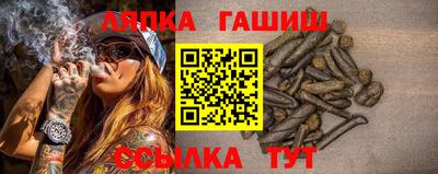 прущие грибы Пугачёв