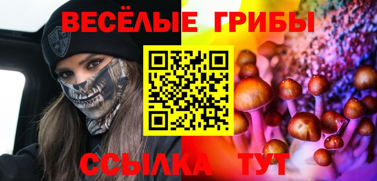 Псилоцибиновые грибы Magic Shrooms  Вход с VPN  Рославль  Псилоцибиновые грибы Magic Shrooms 